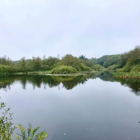 4 Star In 펜션 Ansager